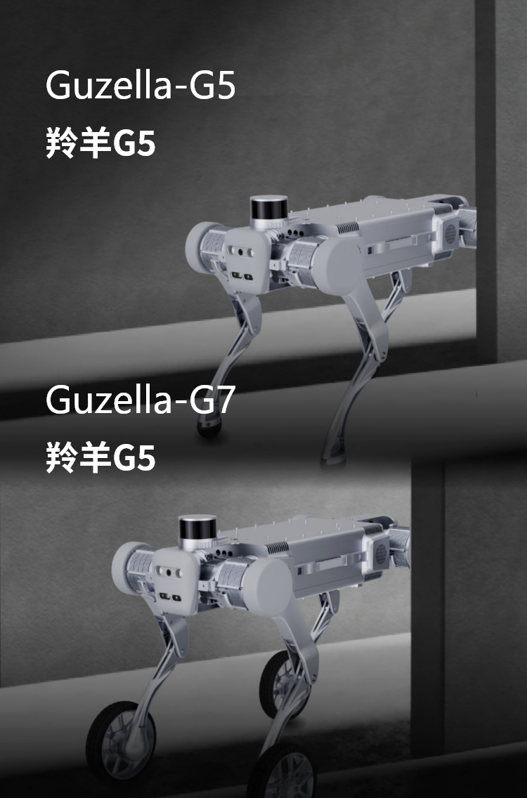 Mbg